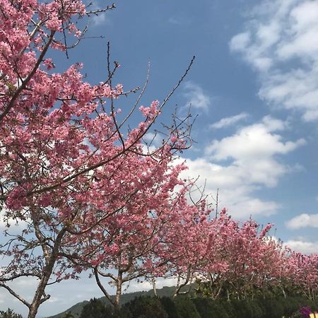 溪頭吉野民宿ji-Ye ลู่กู่ ภายนอก รูปภาพ